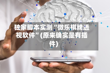 独家脚本实测“微乐棋牌透视软件”(原来确实是有插件)-第3张图片