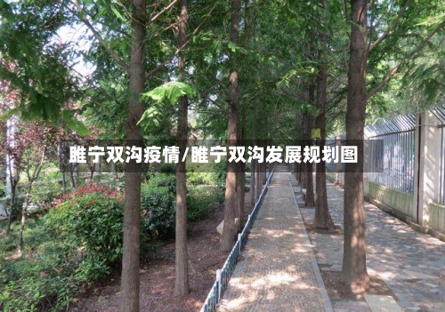 雎宁双沟疫情/睢宁双沟发展规划图-第3张图片