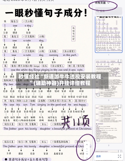 秒懂经验“新道游牛牛透视安装教程”(辅助神器)开挂详细教程-第3张图片