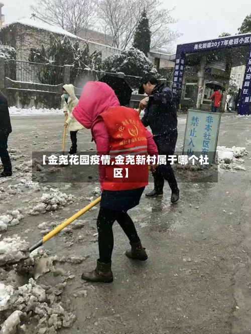 【金尧花园疫情,金尧新村属于哪个社区】