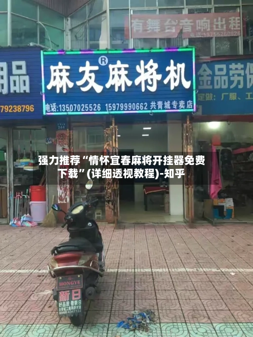 强力推荐“情怀宜春麻将开挂器免费下载	”(详细透视教程)-知乎-第2张图片