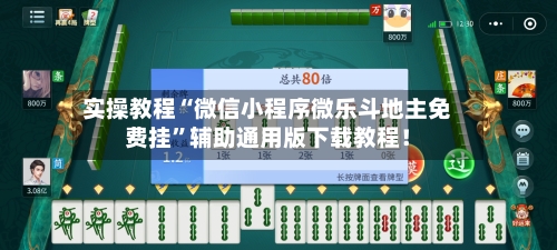 实操教程“微信小程序微乐斗地主免费挂”辅助通用版下载教程！-第2张图片