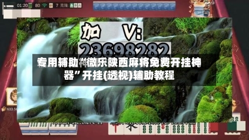 专用辅助“微乐陕西麻将免费开挂神器”开挂(透视)辅助教程-第2张图片