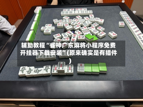 辅助教程“雀神广东麻将小程序免费开挂器下载安装”(原来确实是有插件)-第3张图片