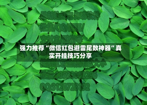 强力推荐“微信红包避雷尾数神器”真实开挂技巧分享-第2张图片