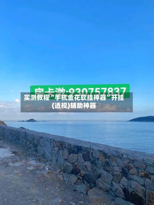 实测教程“手机金花软挂神器	”开挂(透视)辅助神器-第2张图片