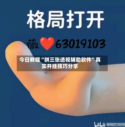 今日教程“拼三张透视辅助软件”真实开挂技巧分享-第2张图片