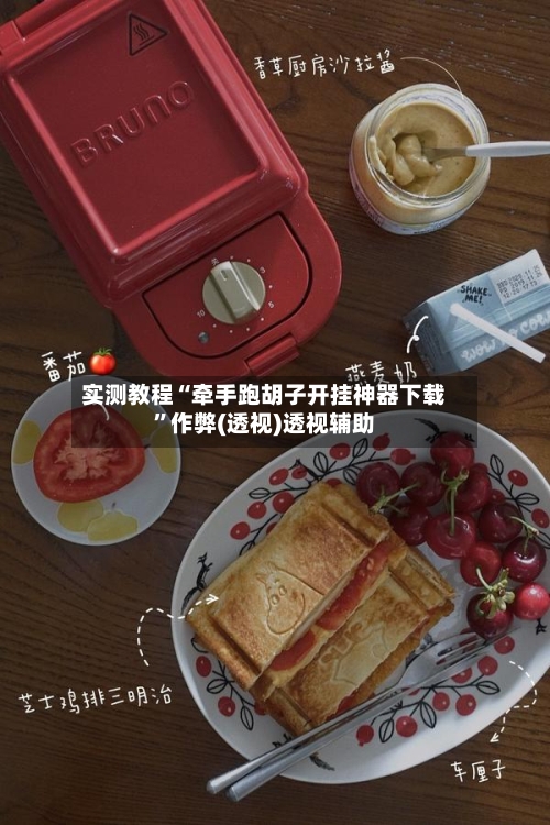 实测教程“牵手跑胡子开挂神器下载”作弊(透视)透视辅助-第3张图片