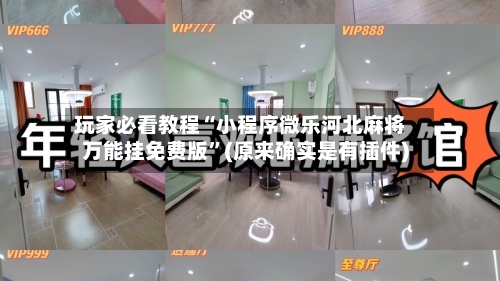 玩家必看教程“小程序微乐河北麻将万能挂免费版”(原来确实是有插件)-第2张图片