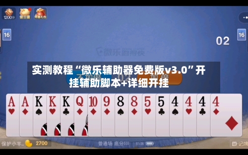 实测教程“微乐辅助器免费版v3.0”开挂辅助脚本+详细开挂-第3张图片