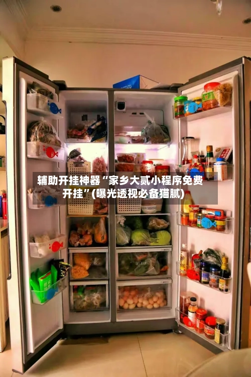 辅助开挂神器“家乡大贰小程序免费开挂”(曝光透视必备猫腻)-第3张图片