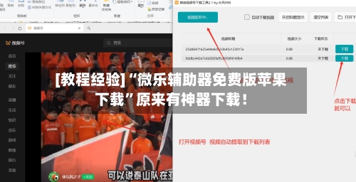 [教程经验]“微乐辅助器免费版苹果下载”原来有神器下载！-第2张图片
