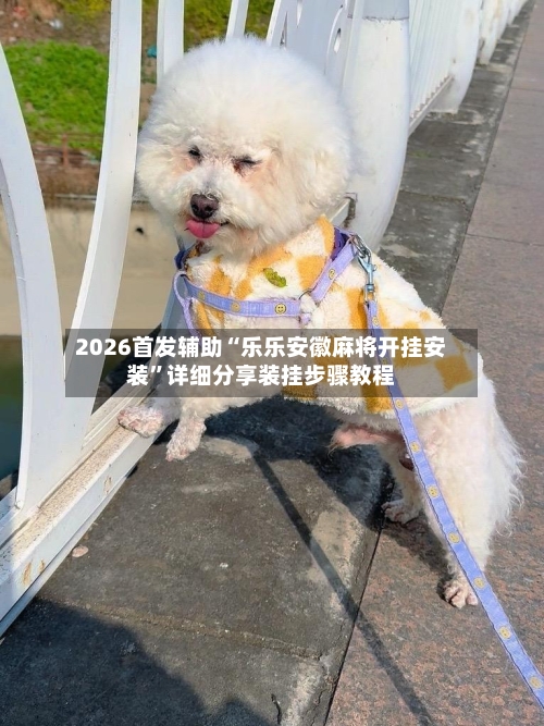 2026首发辅助“乐乐安徽麻将开挂安装”详细分享装挂步骤教程-第3张图片