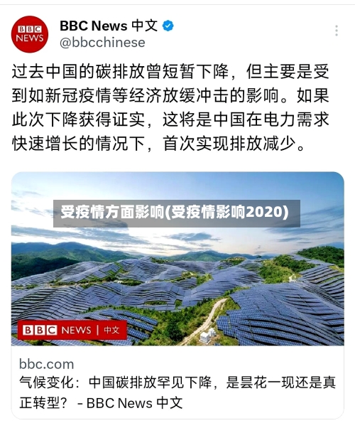 受疫情方面影响(受疫情影响2020)
