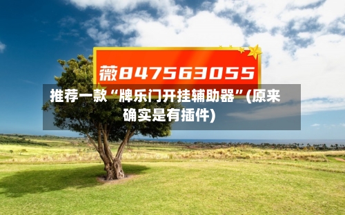 推荐一款“牌乐门开挂辅助器”(原来确实是有插件)-第3张图片