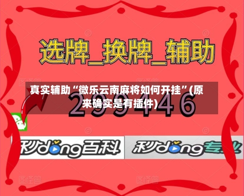 真实辅助“微乐云南麻将如何开挂”(原来确实是有插件)-第2张图片