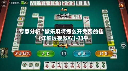 专家分析“微乐麻将怎么开免费的挂”(详细透视教程)-知乎-第2张图片