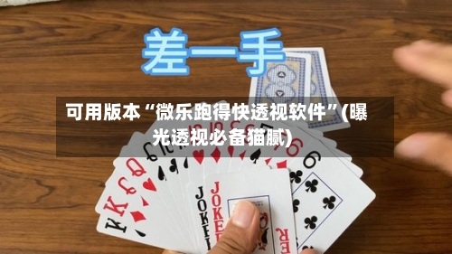 可用版本“微乐跑得快透视软件”(曝光透视必备猫腻)-第2张图片