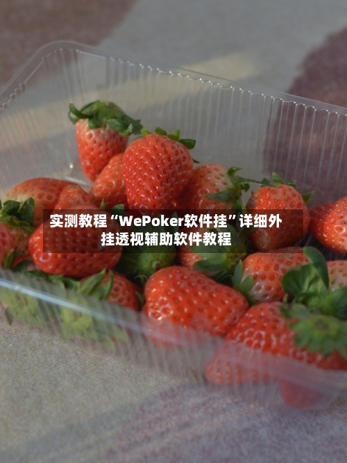 实测教程“WePoker软件挂”详细外挂透视辅助软件教程-第3张图片