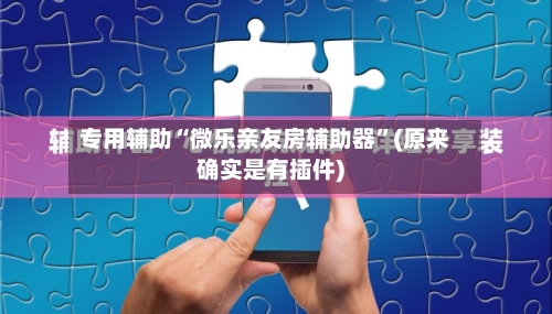 专用辅助“微乐亲友房辅助器”(原来确实是有插件)-第3张图片