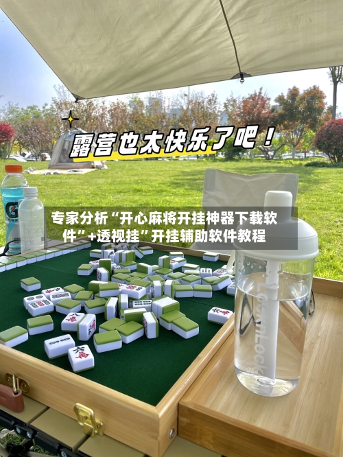 专家分析“开心麻将开挂神器下载软件”+透视挂”开挂辅助软件教程-第2张图片