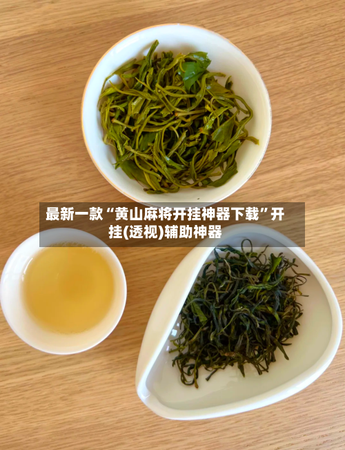 最新一款“黄山麻将开挂神器下载”开挂(透视)辅助神器-第2张图片