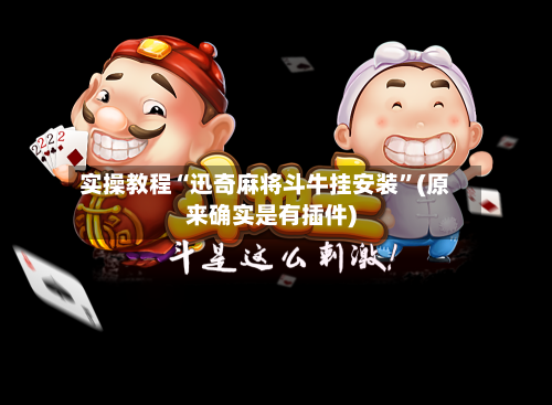 实操教程“迅奇麻将斗牛挂安装”(原来确实是有插件)-第2张图片