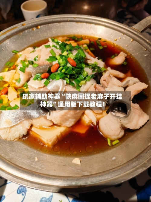 玩家辅助神器“陕麻圈捉老麻子开挂神器	”通用版下载教程！-第2张图片