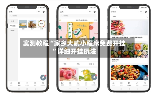 实测教程“家乡大贰小程序免费开挂”详细开挂玩法-第2张图片