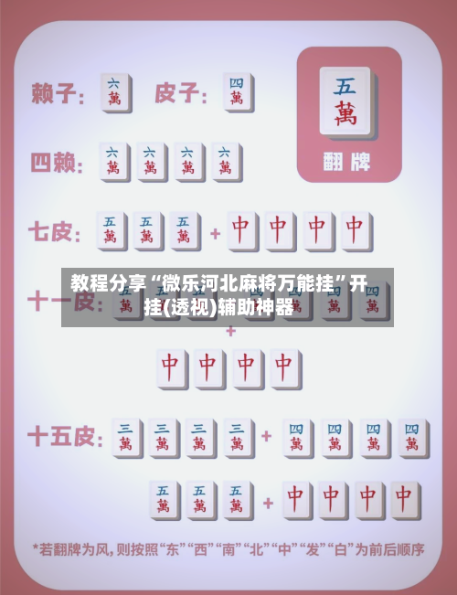教程分享“微乐河北麻将万能挂”开挂(透视)辅助神器