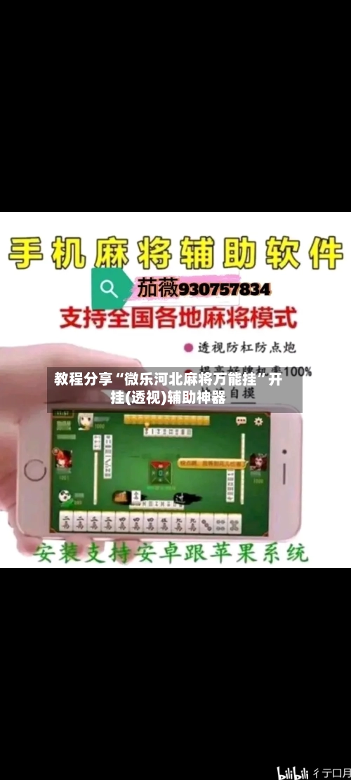 教程分享“微乐河北麻将万能挂	”开挂(透视)辅助神器-第2张图片