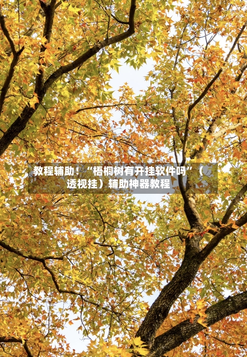 教程辅助！“梧桐树有开挂软件吗”（透视挂）辅助神器教程-第2张图片