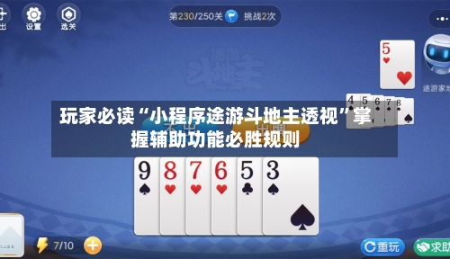 玩家必读“小程序途游斗地主透视”掌握辅助功能必胜规则-第2张图片