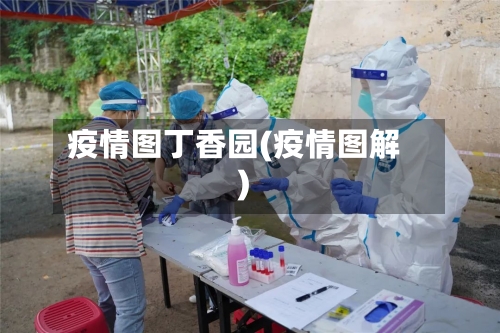 疫情图丁香园(疫情图解)