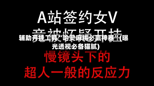 辅助开挂工具“哈灵麻将必赢神器”(曝光透视必备猫腻)-第2张图片