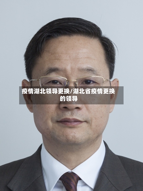 疫情湖北领导更换/湖北省疫情更换的领导-第2张图片