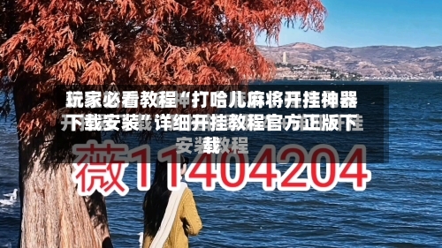玩家必看教程“打哈儿麻将开挂神器下载安装”详细开挂教程官方正版下载-第2张图片