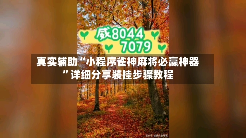 真实辅助“小程序雀神麻将必赢神器”详细分享装挂步骤教程-第2张图片