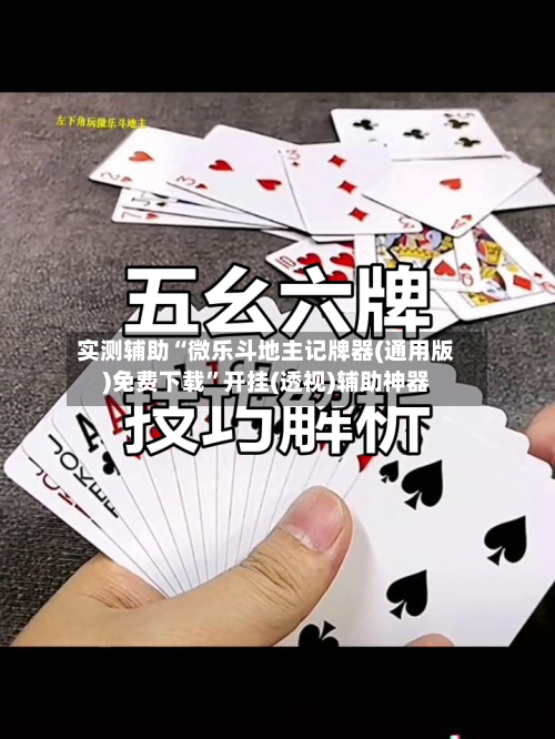 实测辅助“微乐斗地主记牌器(通用版)免费下载”开挂(透视)辅助神器-第2张图片