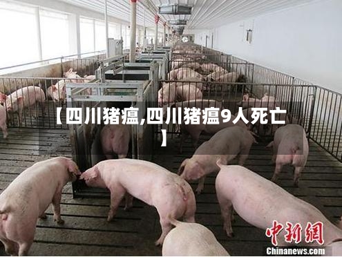 【四川猪瘟,四川猪瘟9人死亡】