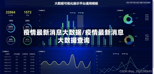 疫情最新消息大数据/疫情最新消息大数据查询