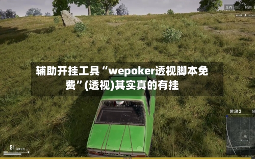 辅助开挂工具“wepoker透视脚本免费	”(透视)其实真的有挂-第2张图片