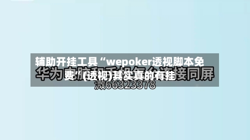 辅助开挂工具“wepoker透视脚本免费”(透视)其实真的有挂-第3张图片
