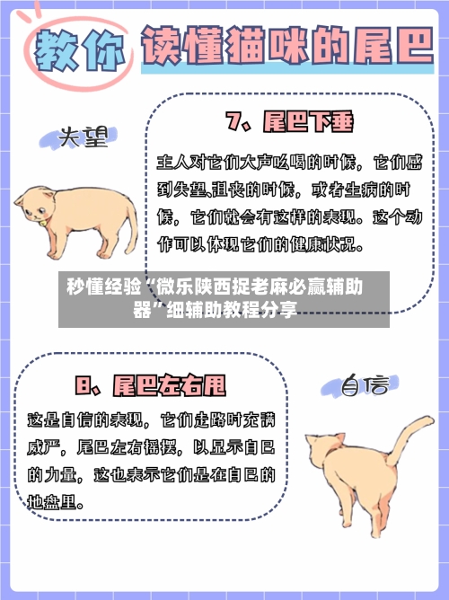 秒懂经验“微乐陕西捉老麻必赢辅助器”细辅助教程分享-第2张图片