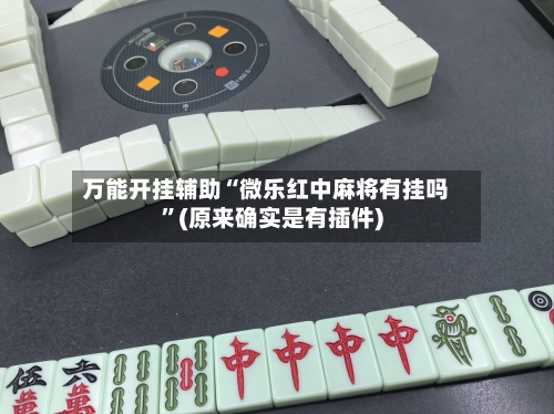 万能开挂辅助“微乐红中麻将有挂吗”(原来确实是有插件)