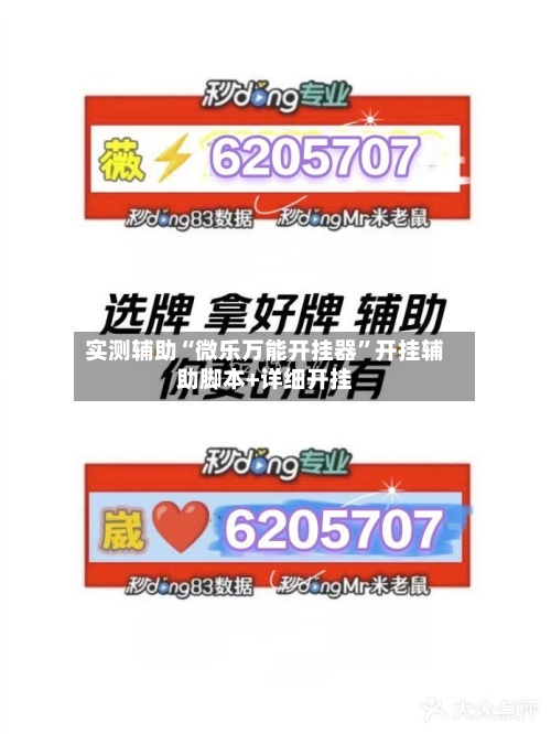 实测辅助“微乐万能开挂器”开挂辅助脚本+详细开挂-第3张图片