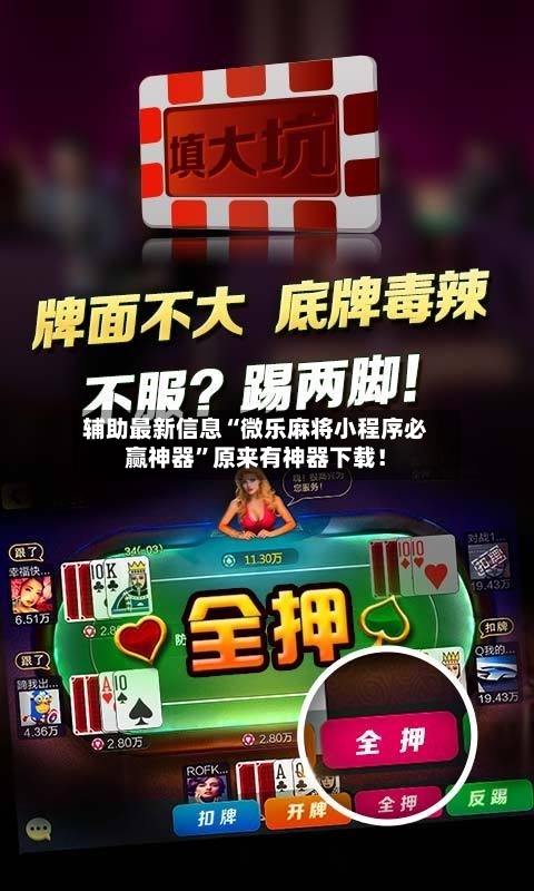 辅助最新信息“微乐麻将小程序必赢神器	”原来有神器下载！-第3张图片