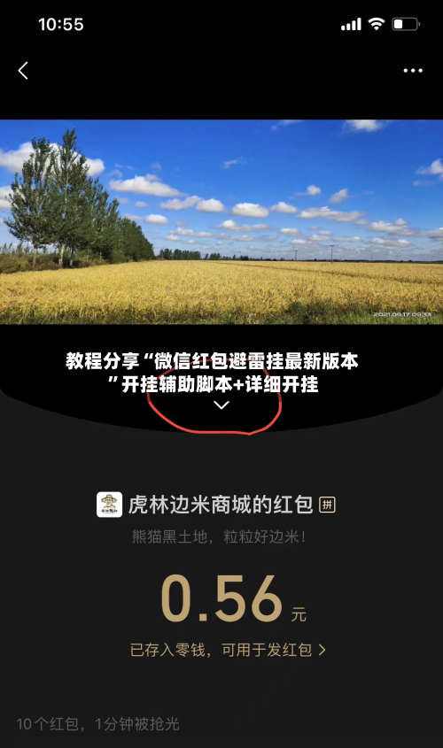 教程分享“微信红包避雷挂最新版本”开挂辅助脚本+详细开挂-第2张图片