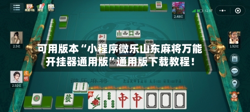 可用版本“小程序微乐山东麻将万能开挂器通用版”通用版下载教程！-第2张图片