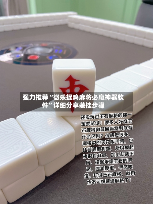 强力推荐“微乐捉鸡麻将必赢神器软件”详细分享装挂步骤-第3张图片